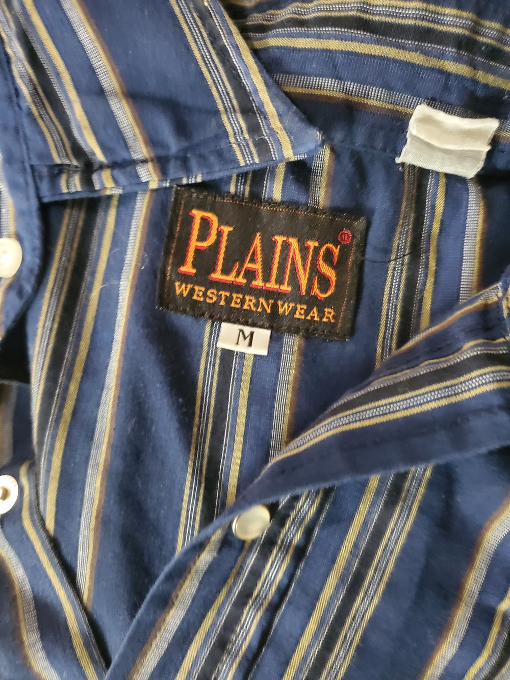 Plains Western Wear Blue Striped Button-Up Shirt
